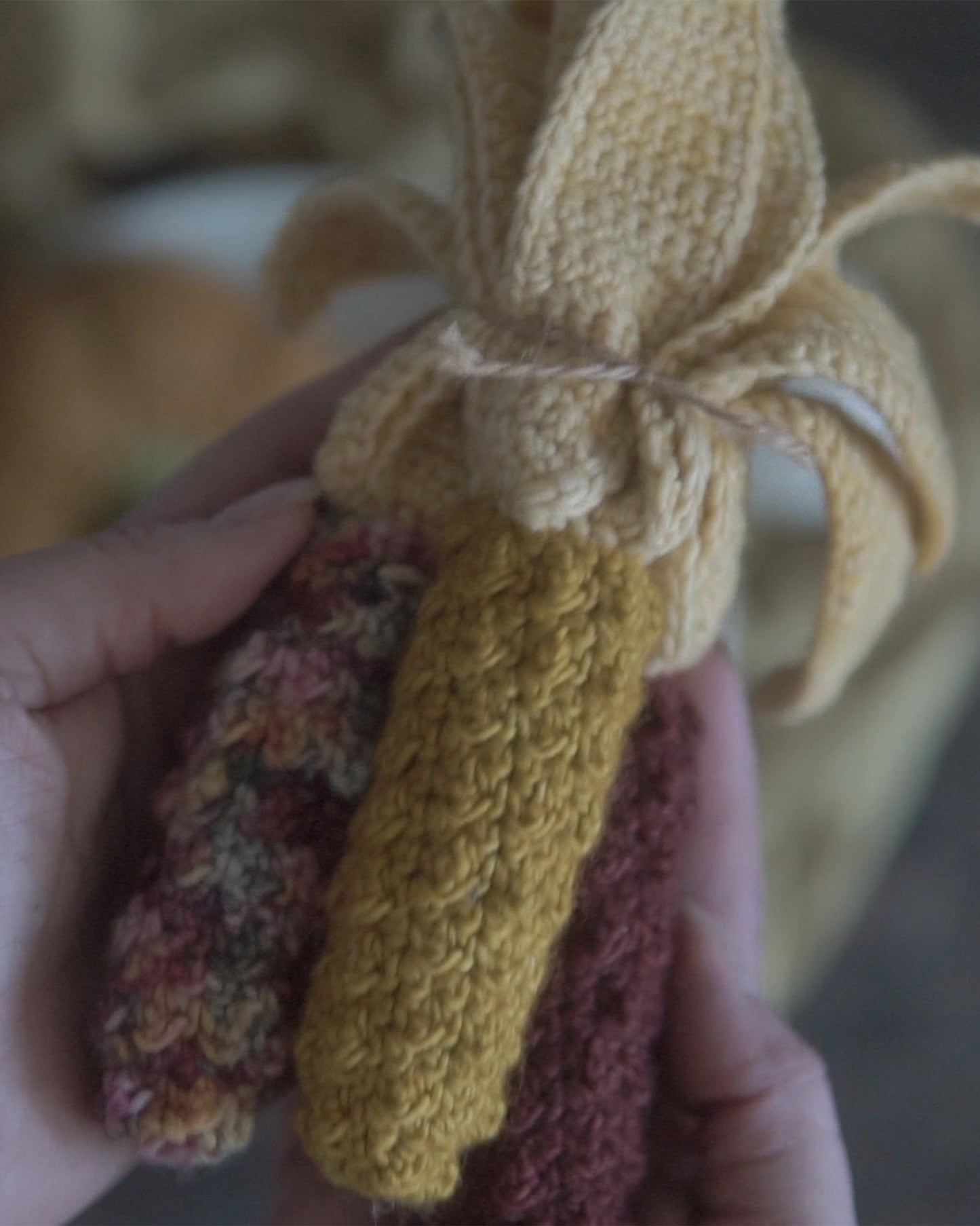 Autumn Veggies Crochet Pattern Bundle PDF