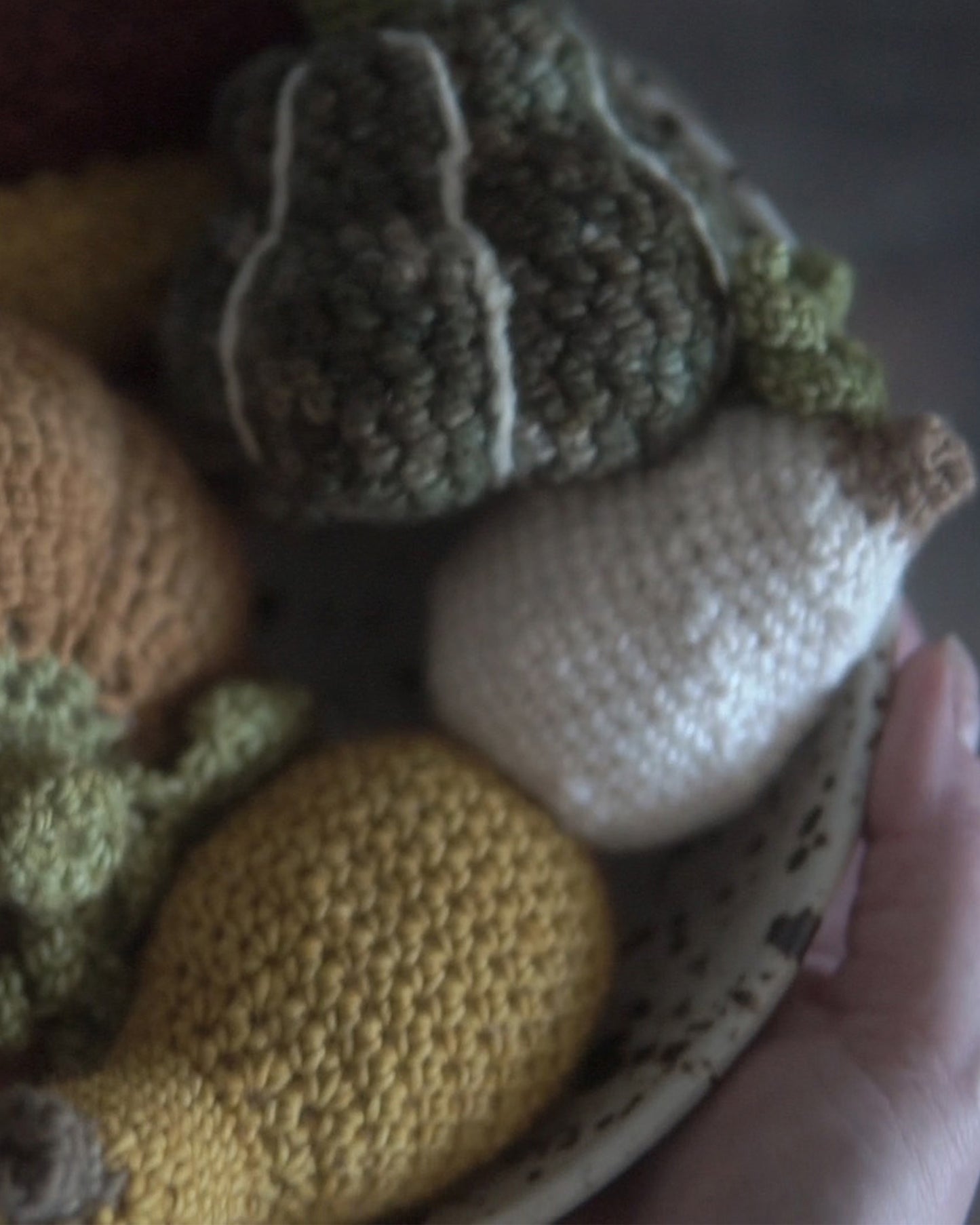Autumn Veggies Crochet Pattern Bundle PDF