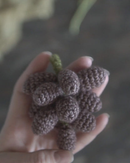 Autumn Fruits Crochet Pattern Bundle PDF
