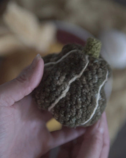Autumn Veggies Crochet Pattern Bundle PDF